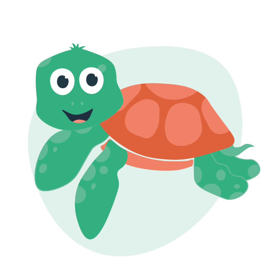 Kidiyo karakter dier schildpad
