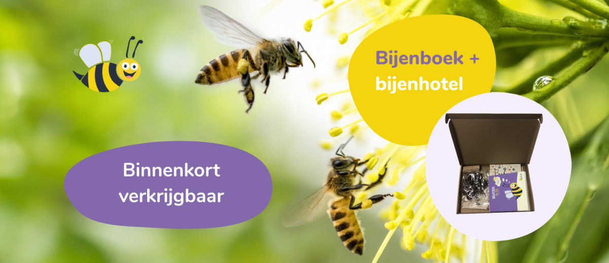 binnenkort verkrijgbaar bijenhotel en bijenboek voor kinderen